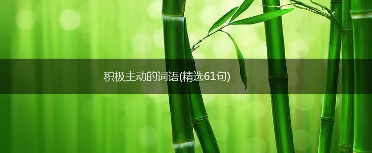 积极主动的词语(精选61句),第1张