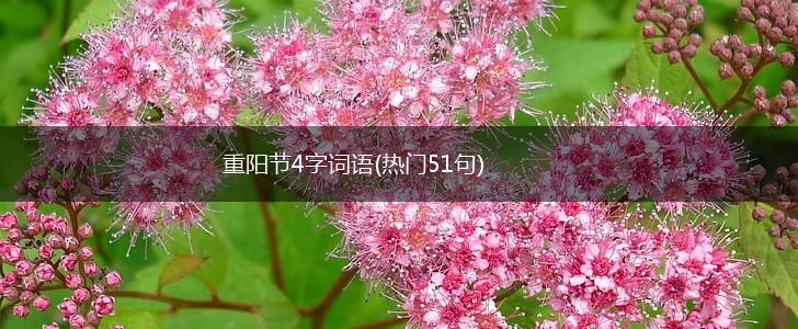 重阳节4字词语(热门51句),第1张