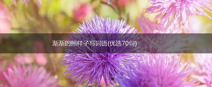 渐渐的照样子写词语(优选70句),第1张