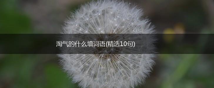 淘气的什么填词语(精选10句),第1张