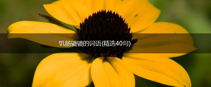 饥肠辘辘的词语(精选40句),第1张
