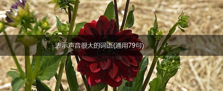 表示声音很大的词语(通用79句),第1张