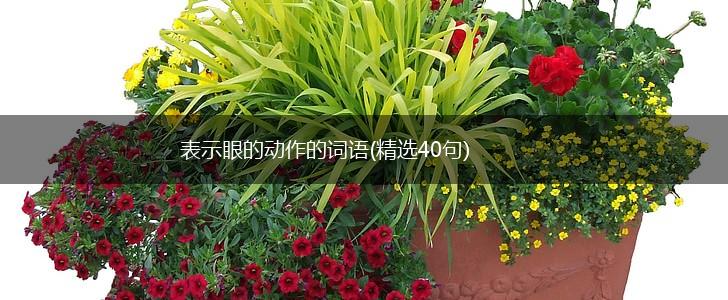 表示眼的动作的词语(精选40句),第1张