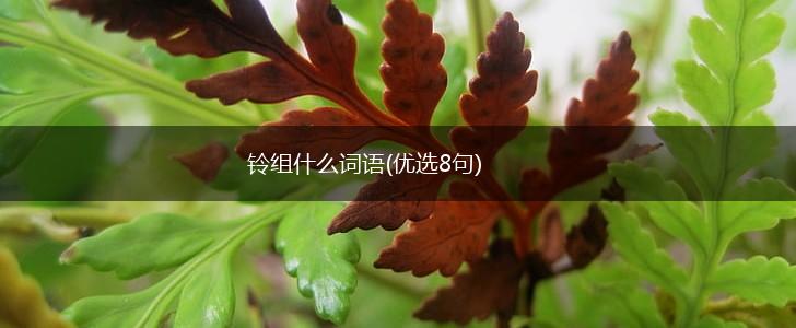 铃组什么词语(优选8句),第1张
