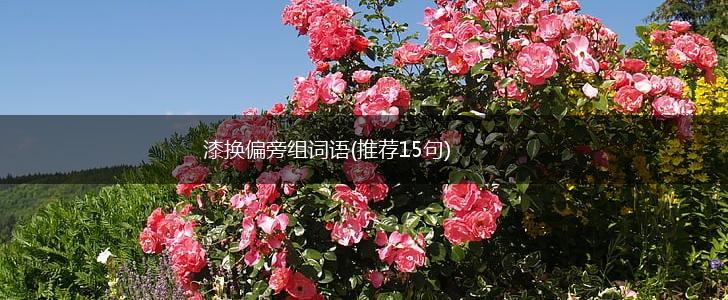 漆换偏旁组词语(推荐15句),第1张