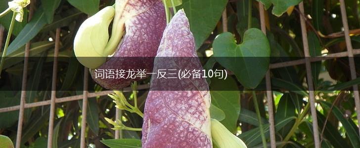 词语接龙举一反三(必备10句),第1张
