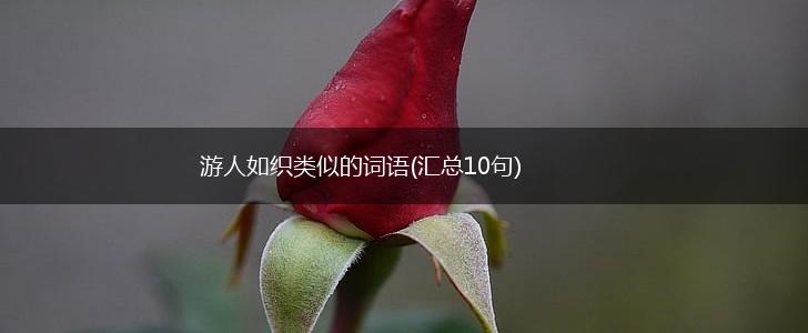 游人如织类似的词语(汇总10句),第1张