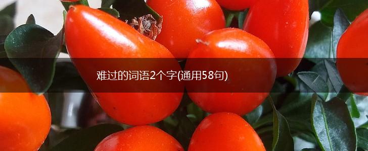 难过的词语2个字(通用58句),第1张