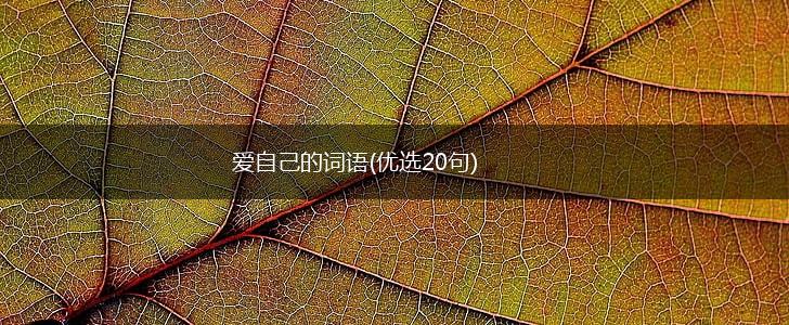 爱自己的词语(优选20句),第1张