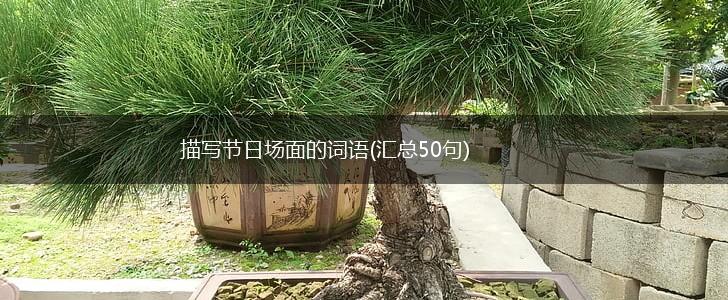 描写节日场面的词语(汇总50句),第1张