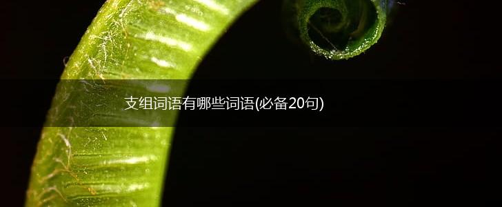 支组词语有哪些词语(必备20句),第1张