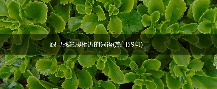 跟寻找意思相近的词语(热门59句),第1张