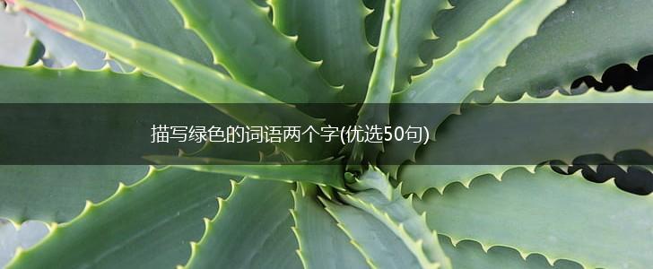 描写绿色的词语两个字(优选50句),第1张