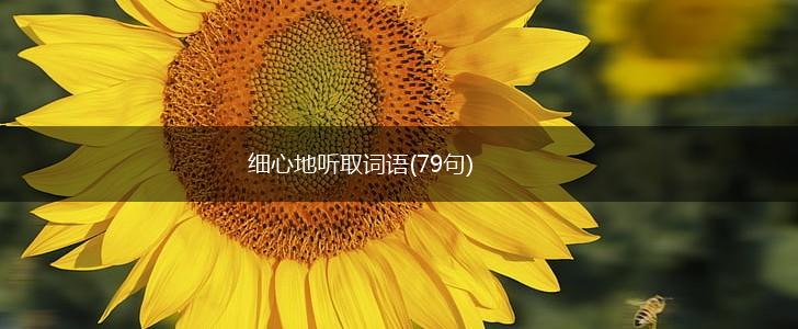 细心地听取词语(79句),第1张
