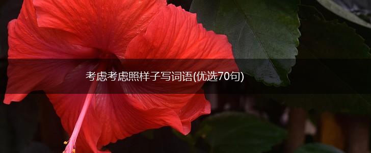 考虑考虑照样子写词语(优选70句),第1张