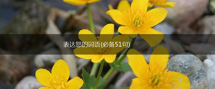 表达怒的词语(必备51句),第1张