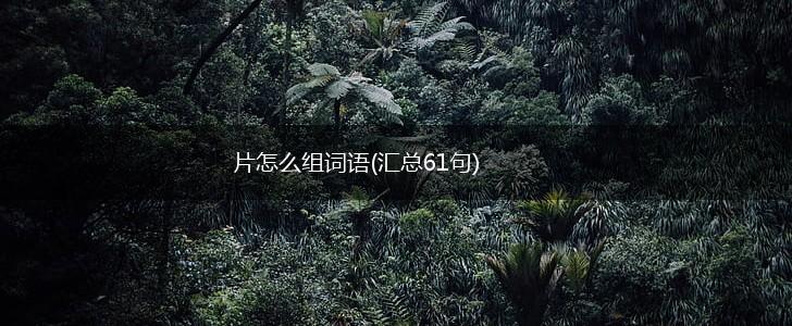 片怎么组词语(汇总61句),第1张