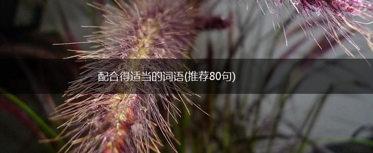 配合得适当的词语(推荐80句),第1张