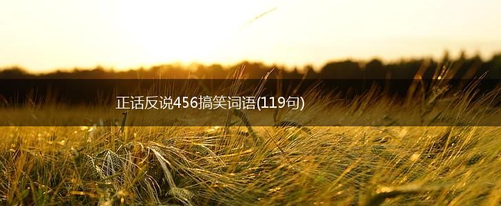 正话反说456搞笑词语(119句),第1张