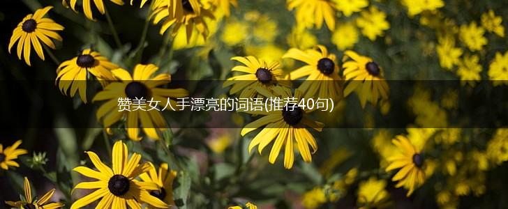 赞美女人手漂亮的词语(推荐40句),第1张