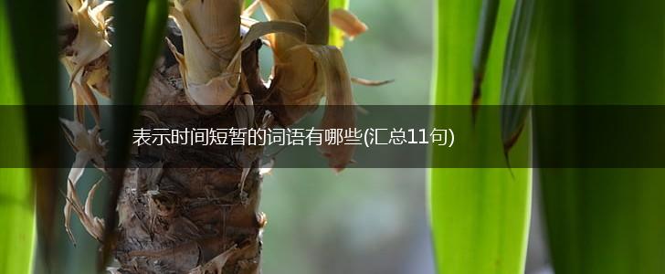表示时间短暂的词语有哪些(汇总11句),第1张