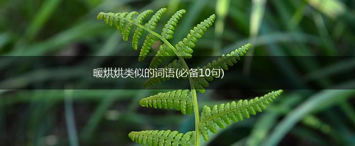 暖烘烘类似的词语(必备10句),第1张