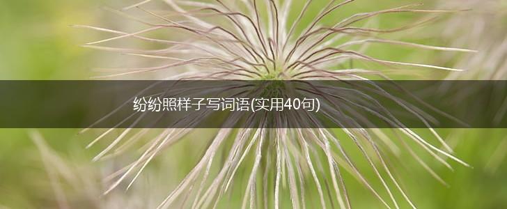 纷纷照样子写词语(实用40句),第1张