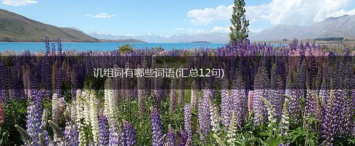 讥组词有哪些词语(汇总12句),第1张