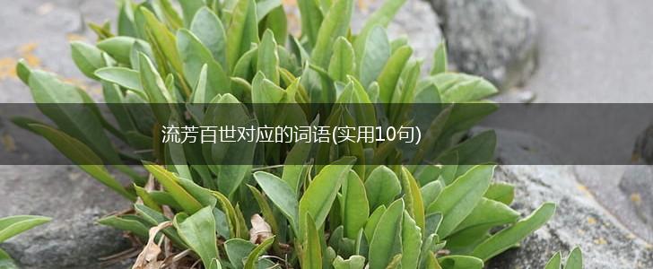 流芳百世对应的词语(实用10句),第1张