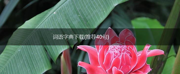 词语字典下载(推荐40句),第1张