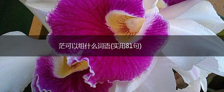 茫可以组什么词语(实用81句),第1张