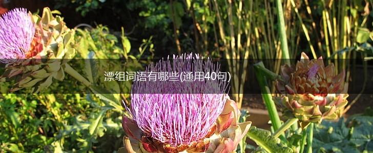 漂组词语有哪些(通用40句),第1张