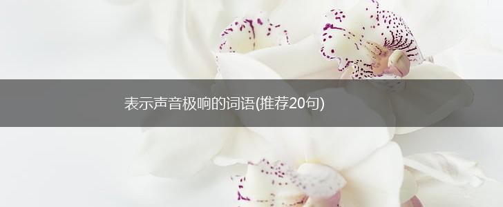 表示声音极响的词语(推荐20句),第1张