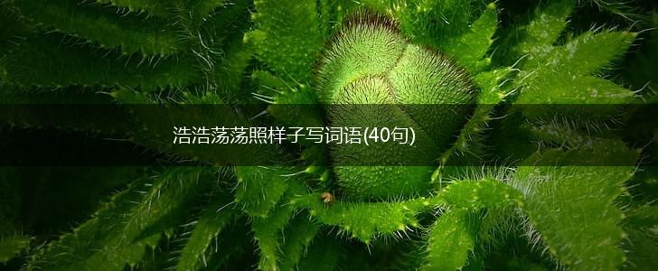 浩浩荡荡照样子写词语(40句),第1张
