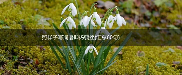 照样子写词语抑扬顿挫(汇总60句),第1张