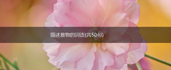 描述景物的词语(共50句),第1张