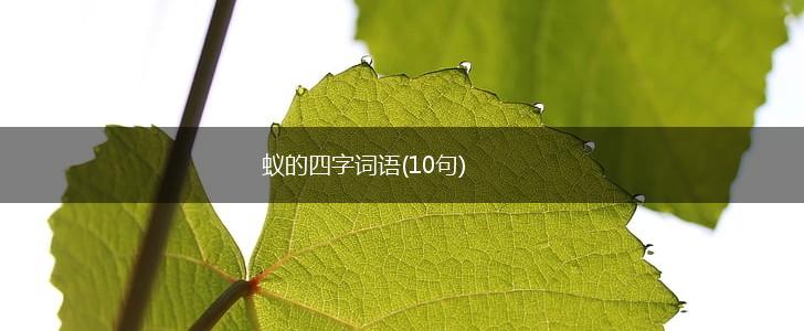 蚁的四字词语(10句),第1张