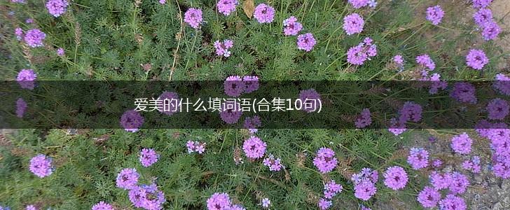 爱美的什么填词语(合集10句),第1张