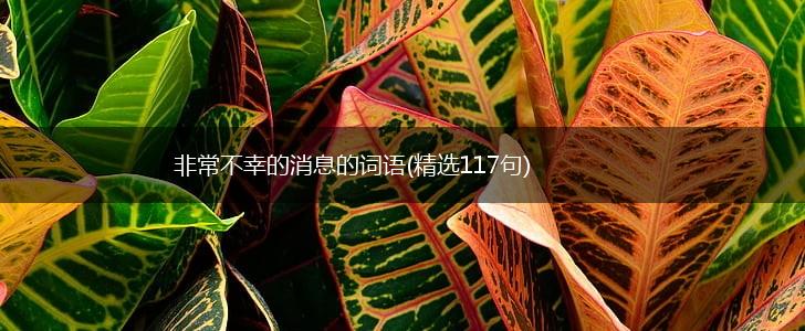 非常不幸的消息的词语(精选117句),第1张