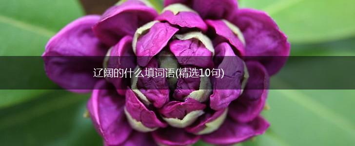 辽阔的什么填词语(精选10句),第1张