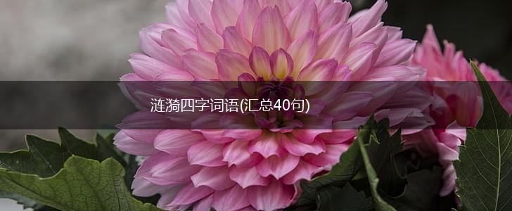 涟漪四字词语(汇总40句),第1张