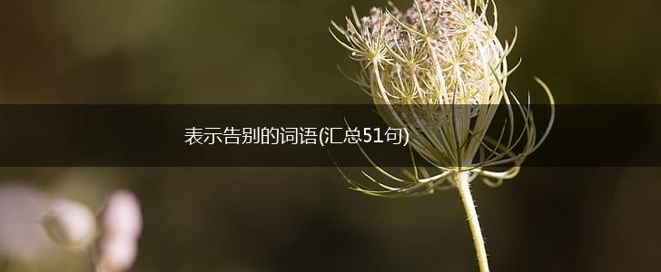 表示告别的词语(汇总51句),第1张