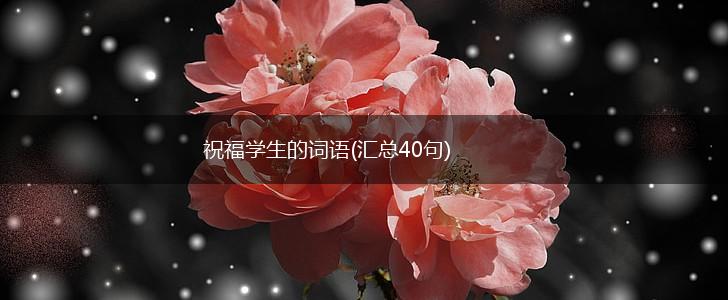 祝福学生的词语(汇总40句),第1张