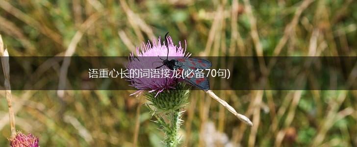 语重心长的词语接龙(必备70句),第1张