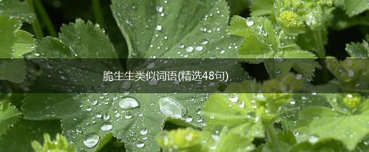 脆生生类似词语(精选48句),第1张