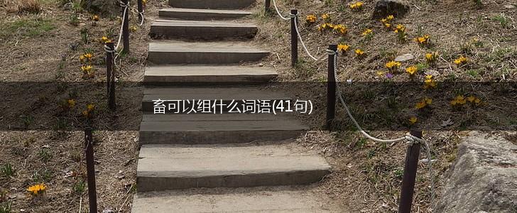 畜可以组什么词语(41句),第1张