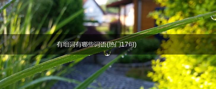 有组词有哪些词语(热门17句),第1张