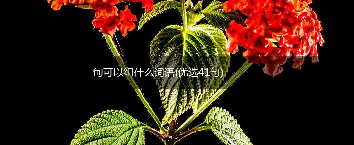 甸可以组什么词语(优选41句),第1张