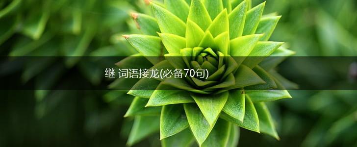 继 词语接龙(必备70句),第1张
