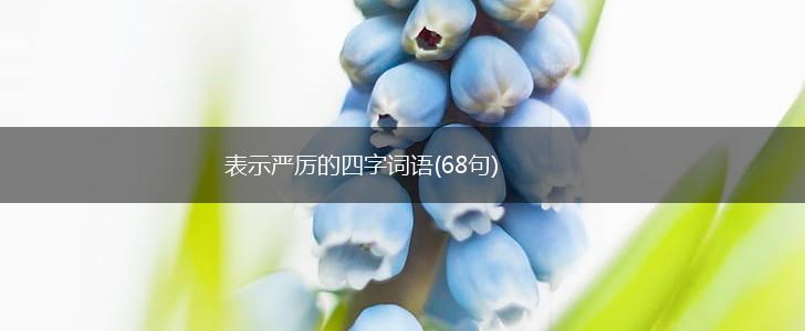表示严厉的四字词语(68句),第1张
